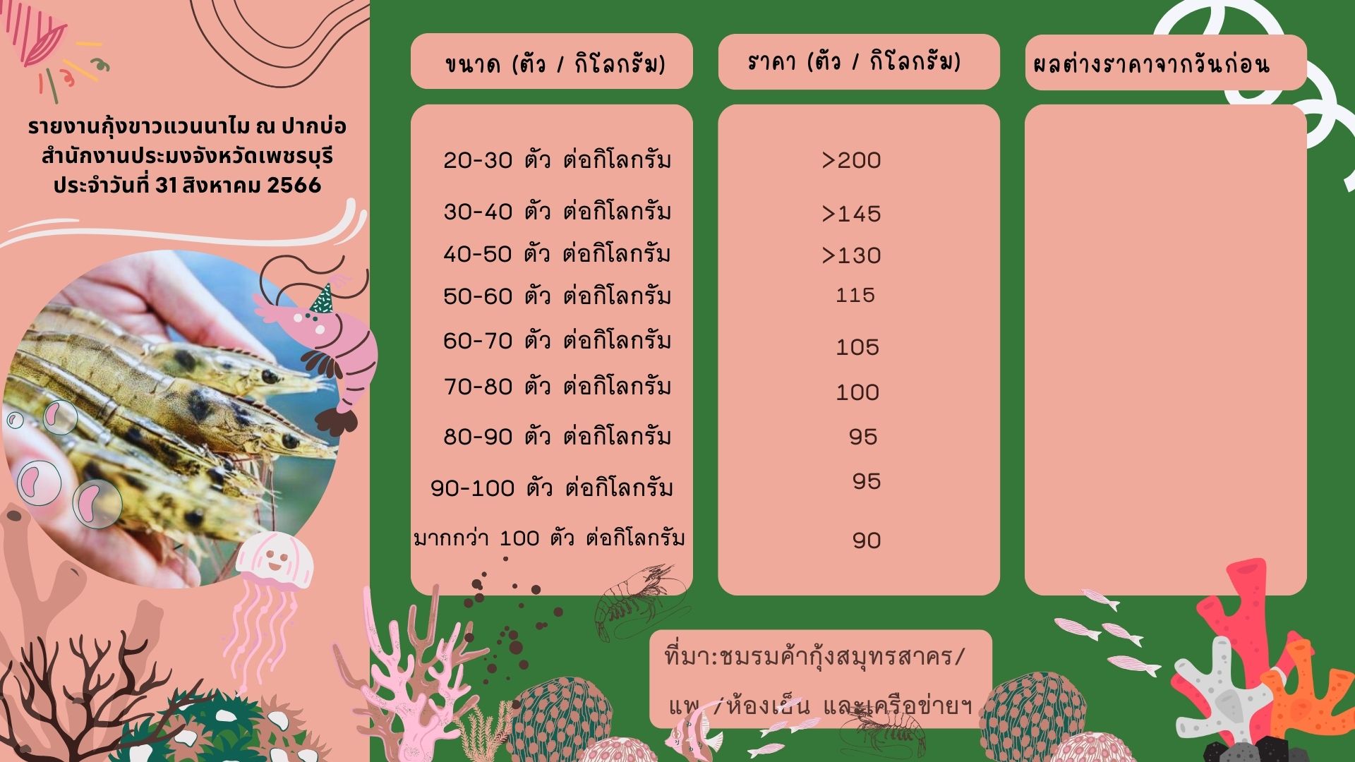 ราคากุ้งขาวแวนนาไม ประจำวันที่ 31 สิงหาคม 2566..คลิก