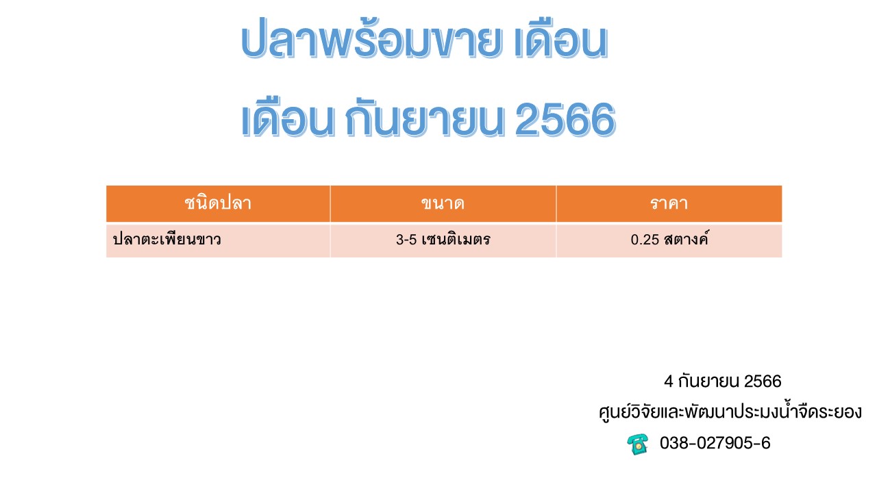 ปลาพร้อมขาย วันที่ 4 กันยายน 2566..คลิก