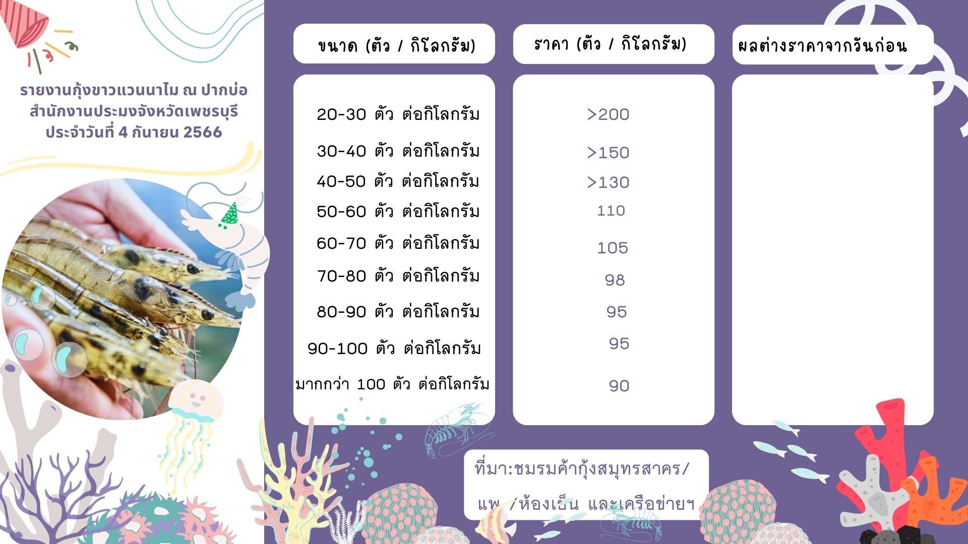 ราคากุ้งขาวแวนนาไม ประจำวันที่ 4 กันยายน 2566..คลิก