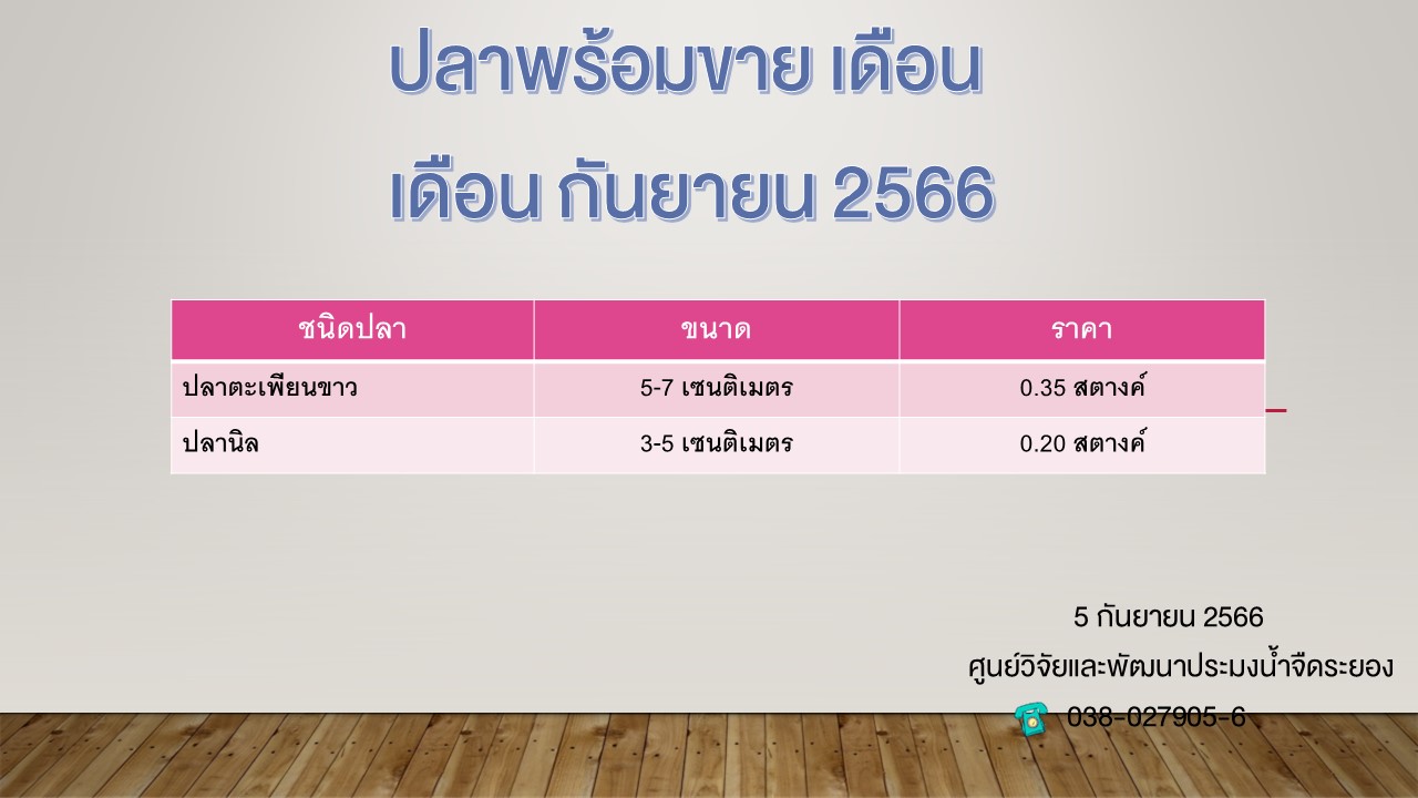 ปลาพร้อมขาย วันที่ 5 กันยายน 2566..คลิก