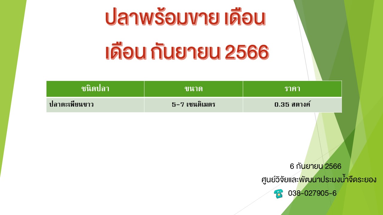 ปลาพร้อมขาย วันที่ 6 กันยายน 2566..คลิก