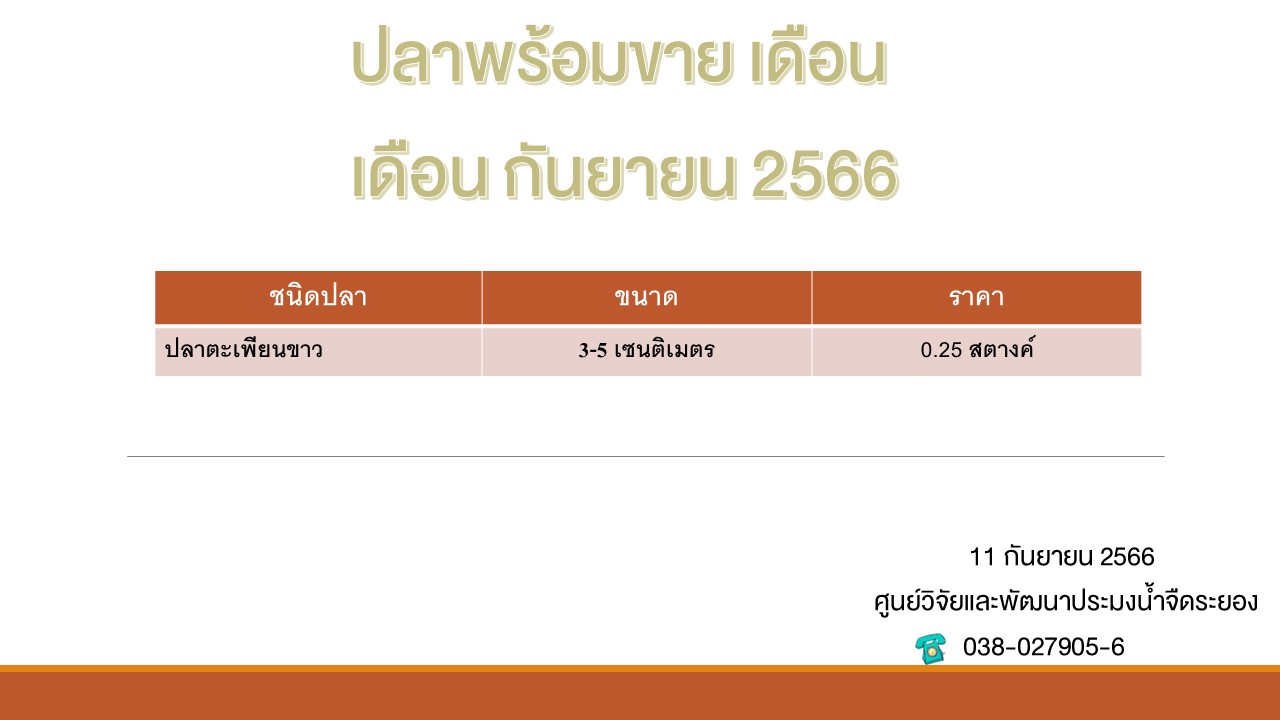 ปลาพร้อมขาย วันที่ 11 กันยายน 2566..คลิก
