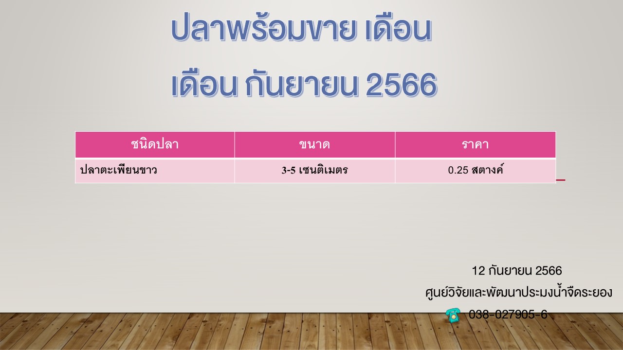 ปลาพร้อมขาย วันที่ 12 กันยายน 2566..คลิก