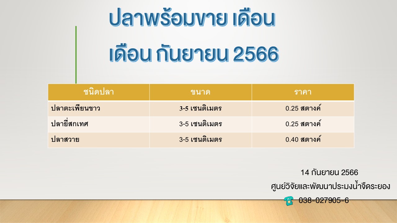 ปลาพร้อมขาย วันที่ 14 กันยายน 2566..คลิก