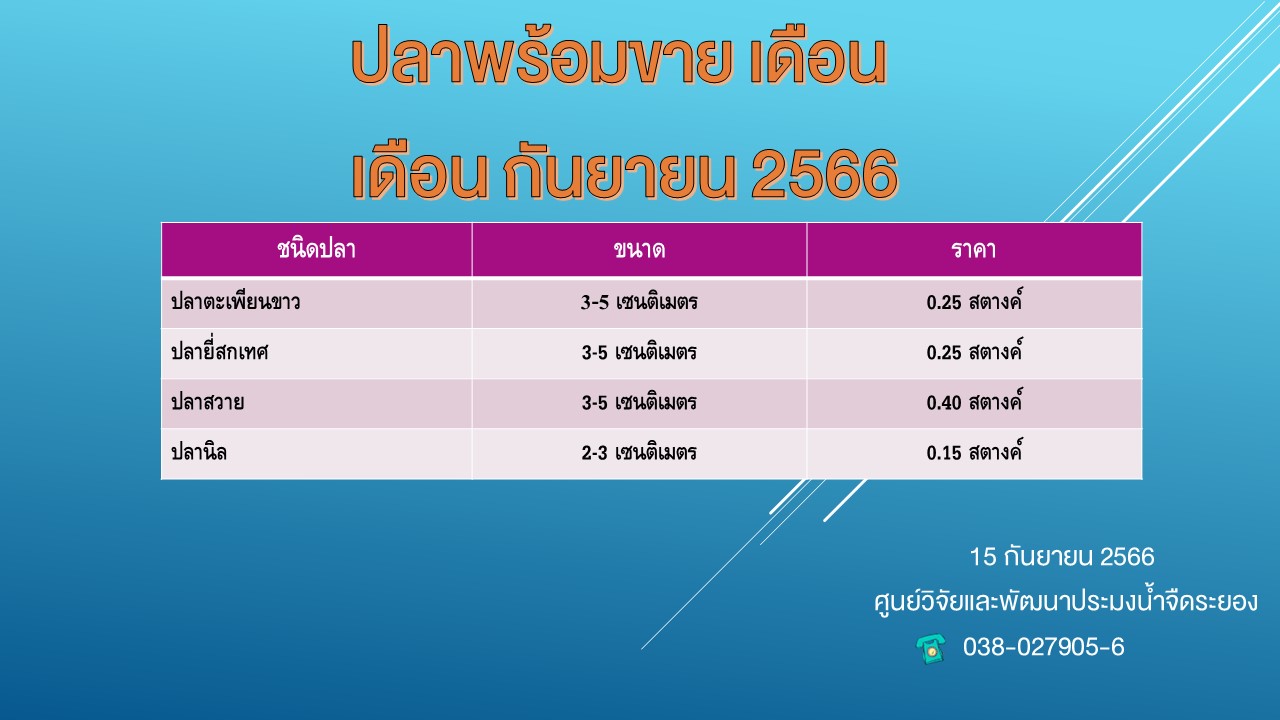 ปลาพร้อมขาย วันที่ 15 กันยายน 2566..คลิก