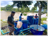 Mobile Hatchery เพาะพันธุ์ปลาตะเพียนขาวให้ชุมชน..คลิก