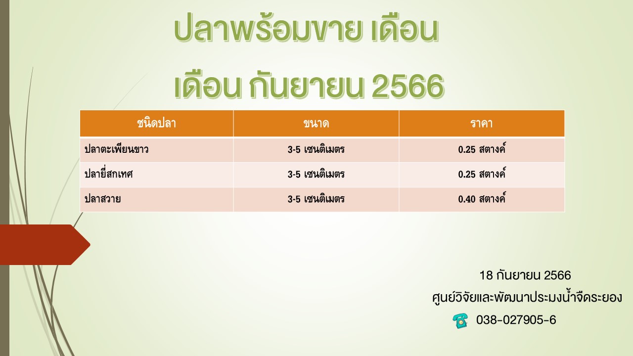 ปลาพร้อมขาย วันที่ 18 กันยายน 2566..คลิก