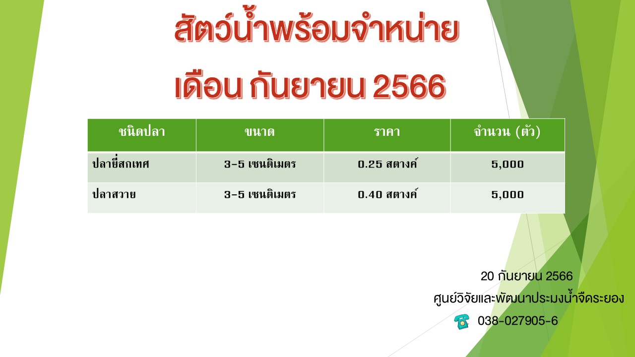 สัตว์น้ำพร้อมจำหน่าย วันที่ 20 กันยายน 2566..คลิก