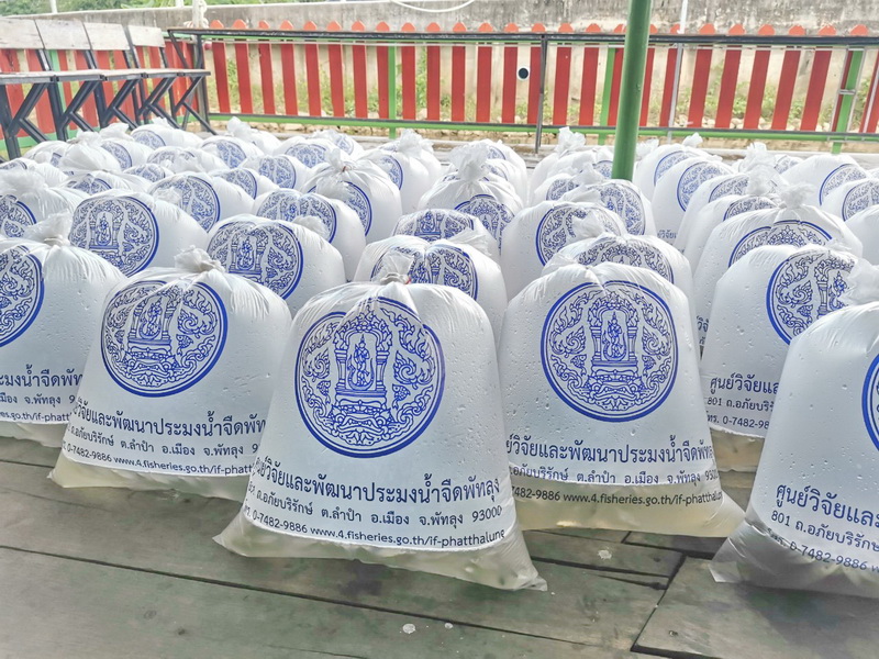 ร่วมปล่อยพันธุ์สัตว์น้ำเนื่องในวันประมงแห่งชาติ ปี 2566..คลิก