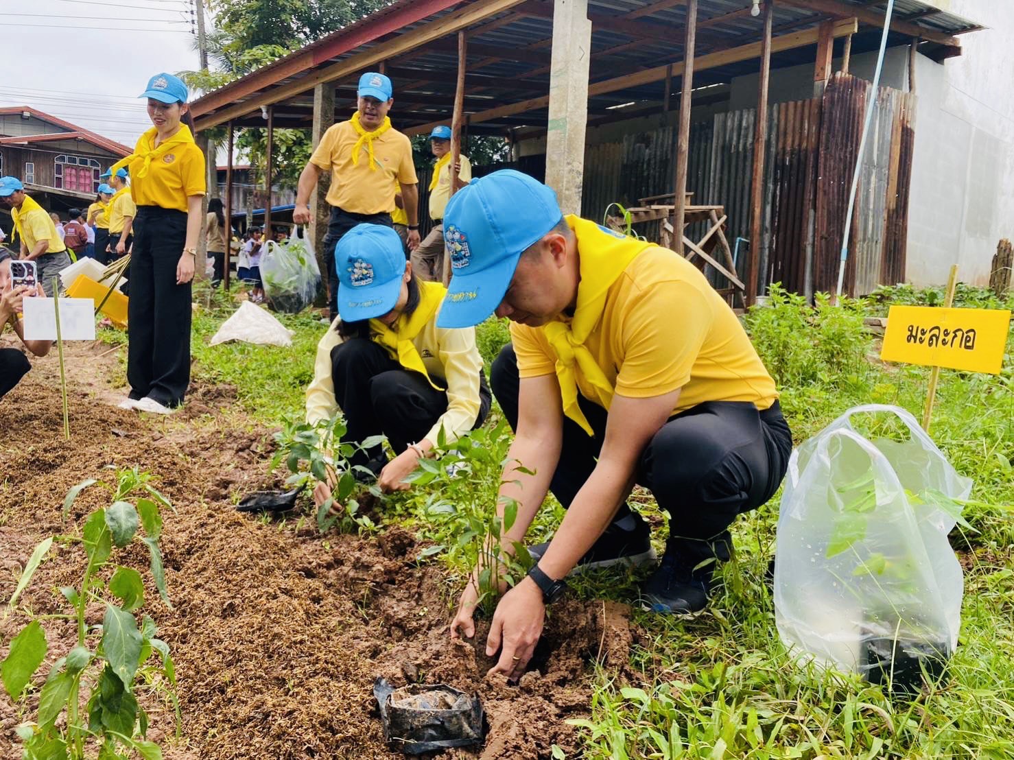 สำนักงานประมงอำเภอท่าลี่ โดยนางสาววารุณี เจ็กรัก ประมงอำเภอท่าลี่ ร่วมกิจกรรมโครงการจิตอาสาสร้างความมั่นคงทางอาหาร เพื่อบำบัดทุกข์ บำรุงสุข แบบบูรณาการ ณ โรงเรียนบ้านหนองบง หมู่ที่ 2 ตำบลน้ำทูน อำเภอท่าลี่ จังหวัดเลย