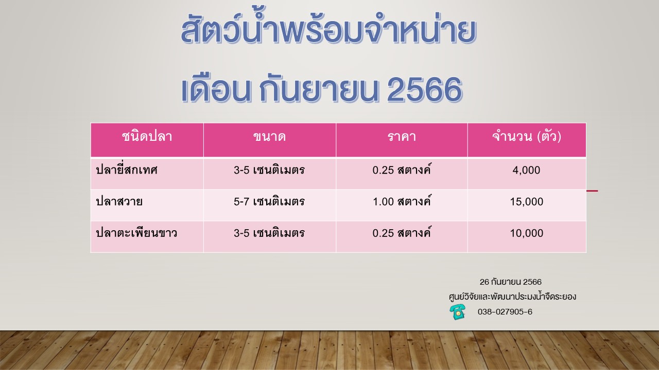 สัตว์น้ำพร้อมจำหน่าย วันที่ 26 กันยายน 2566..คลิก