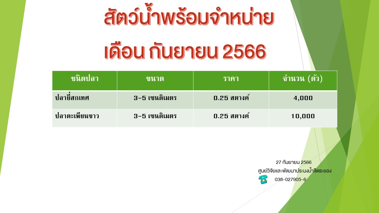 สัตว์น้ำพร้อมจำหน่าย วันที่ 27 กันยายน 2566..คลิก