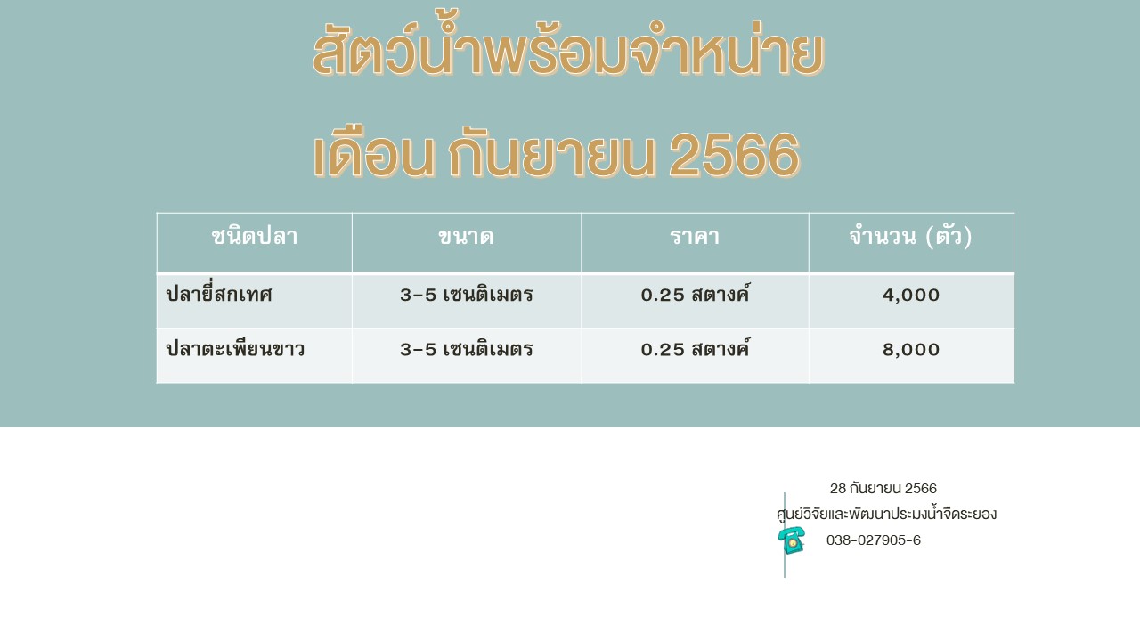 สัตว์น้ำพร้อมจำหน่าย วันที่ 28 กันยายน 2566..คลิก