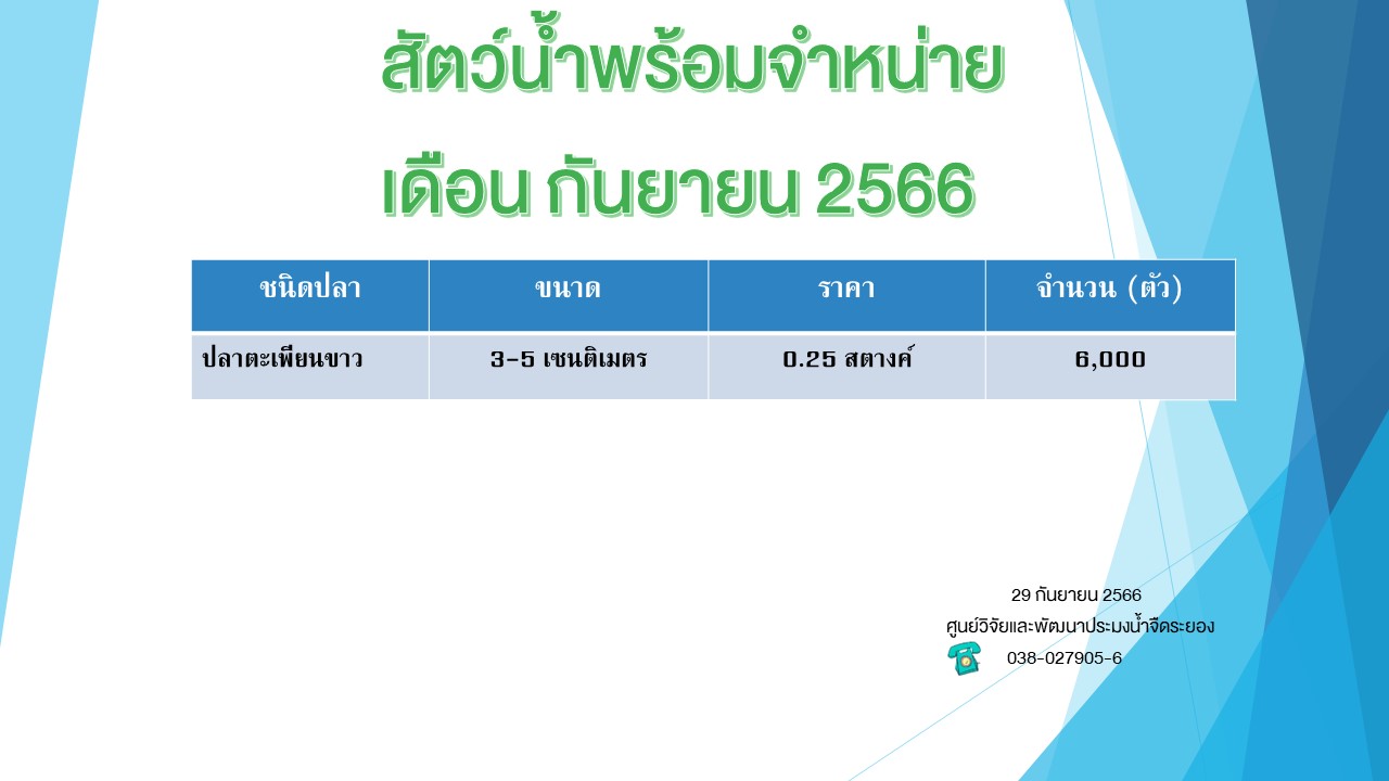 สัตว์น้ำพร้อมจำหน่าย วันที่ 29 กันยายน 2566..คลิก