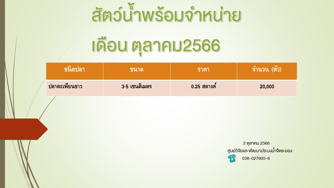 สัตว์น้ำพร้อมจำหน่าย วันที่ 2 ตุลาคม 2566..คลิก