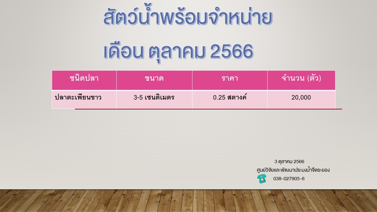 สัตว์น้ำพร้อมจำหน่าย วันที่ 3 ตุลาคม 2566..คลิก