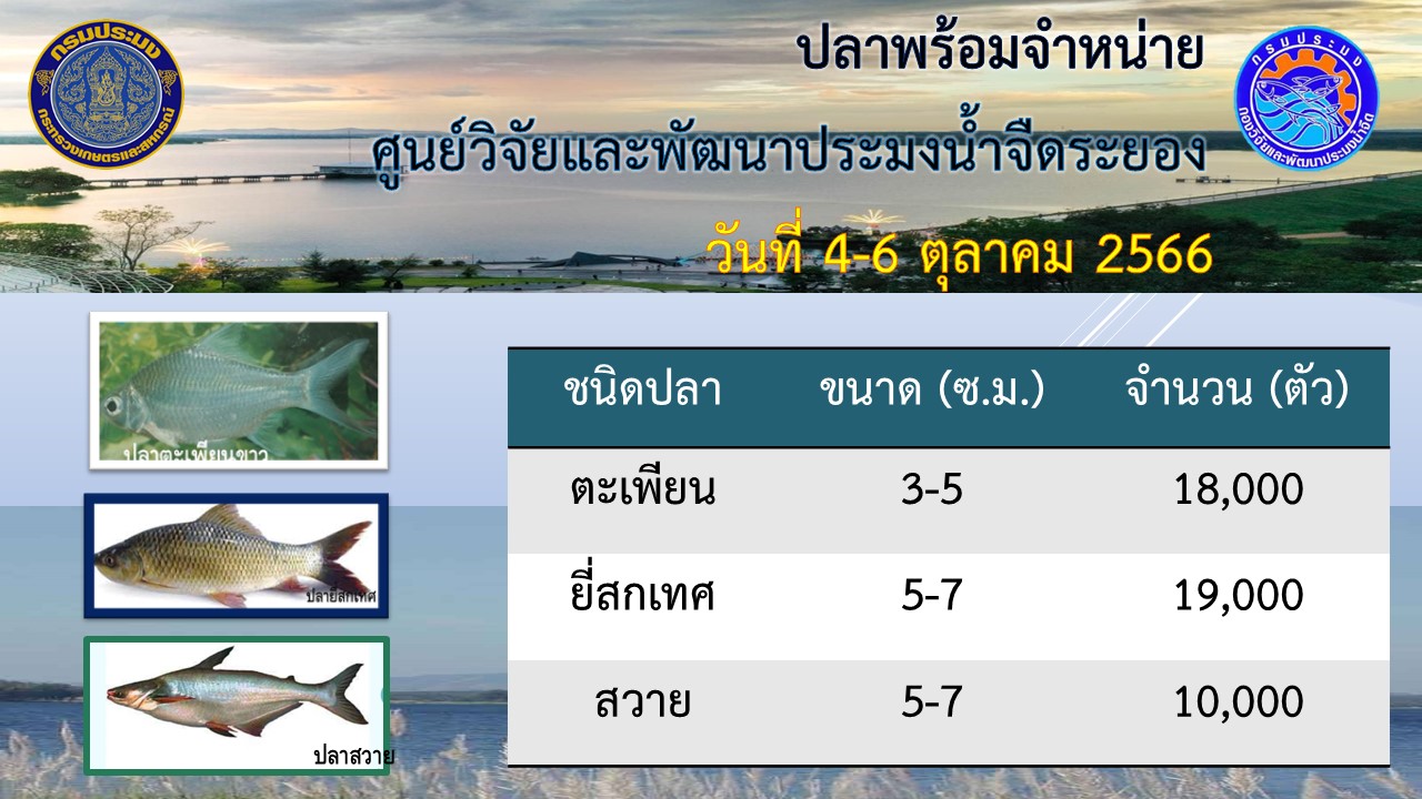 สัตว์น้ำพร้อมจำหน่าย วันที่ 5 ตุลาคม 2566..คลิก
