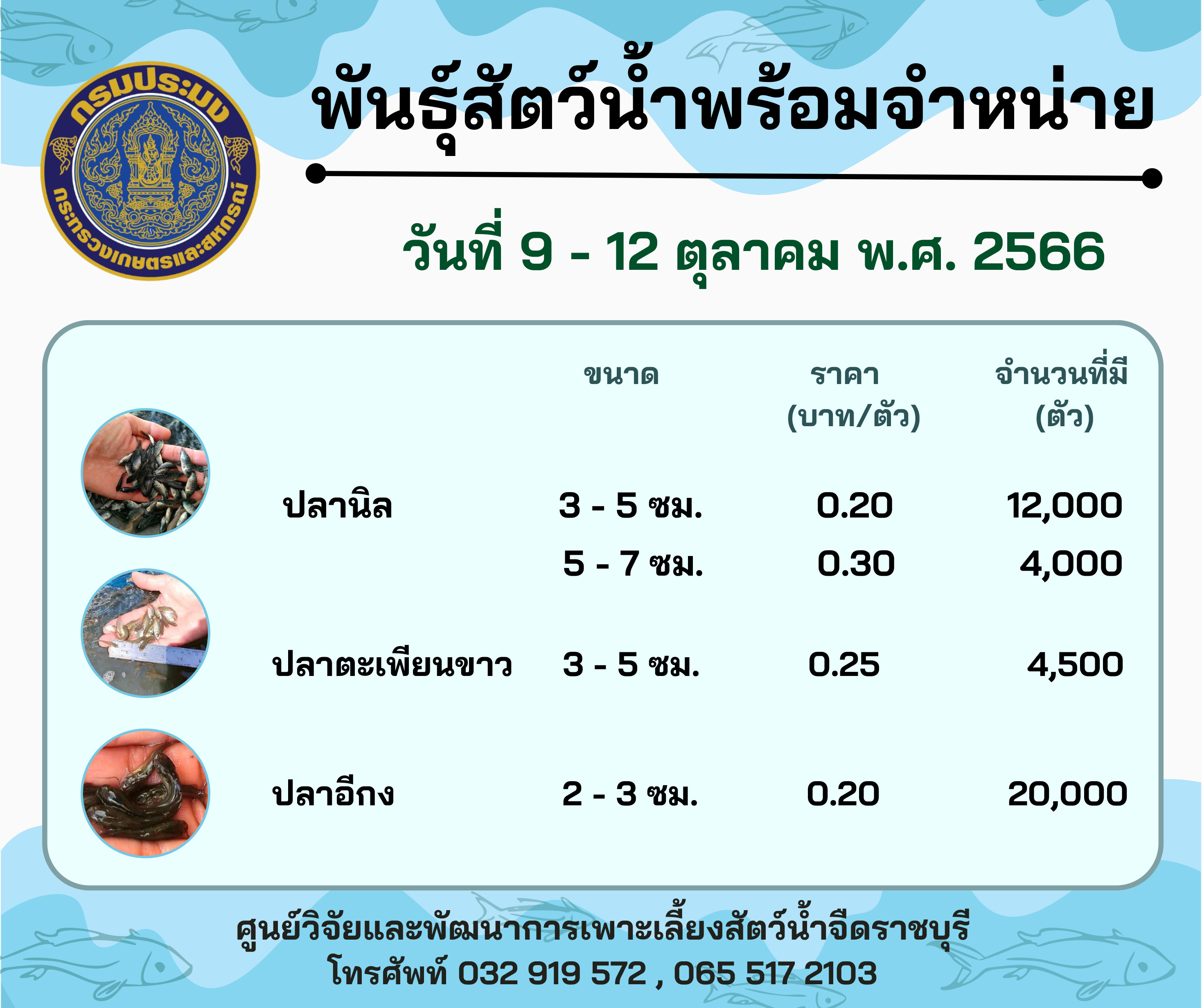 ลูกพันธุ์สัตว์น้ำพร้อมจำหน่าย ประจำวันที่ 9 - 12 ตุลาคม 2566..คลิก