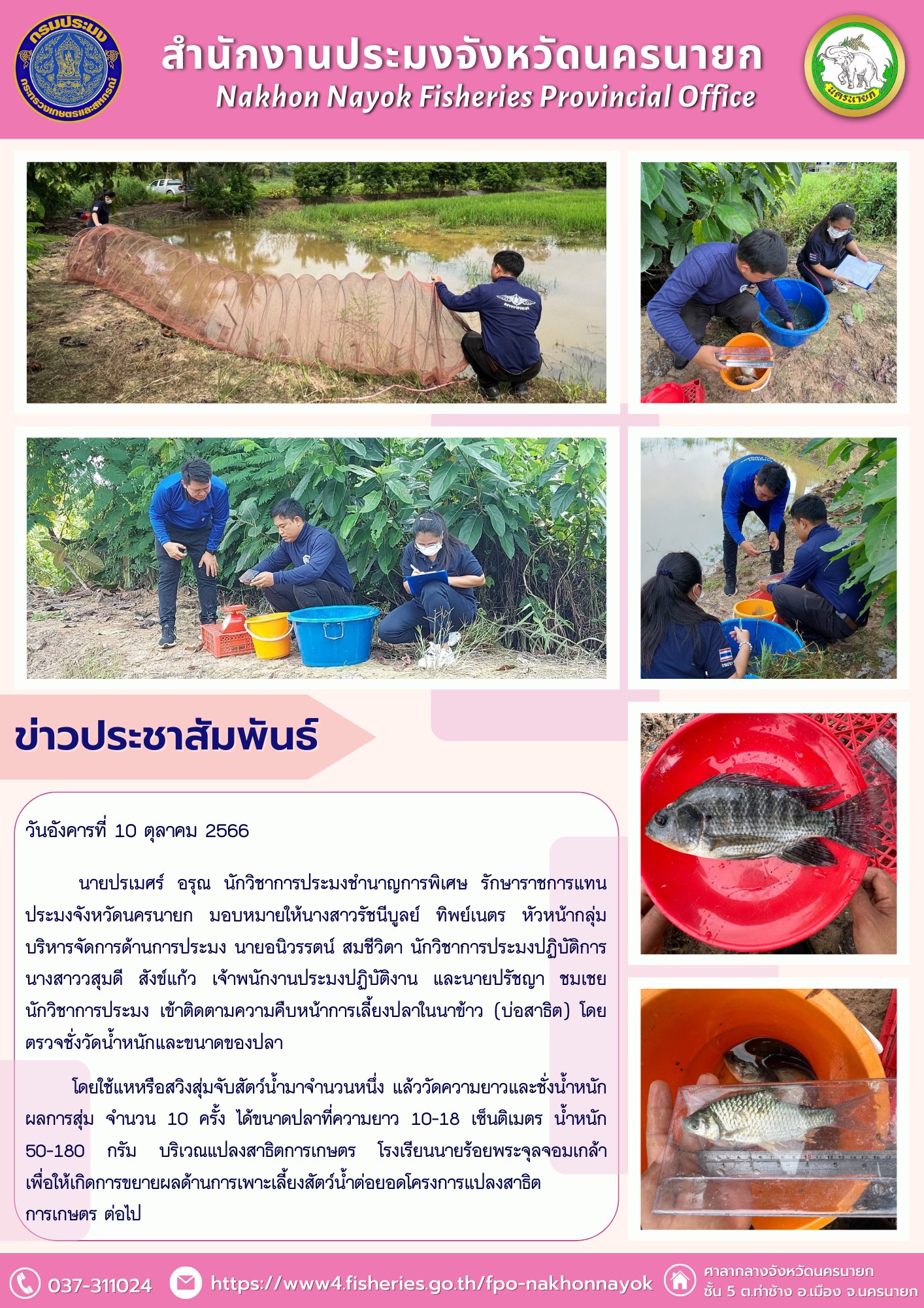 เข้าติดตามความคืบหน้าการเลี้ยงปลาในนาข้าว (บ่อสาธิต) โดยตรวจชั่งวัดน้ำหนักและขนาดของปลา..คลิก