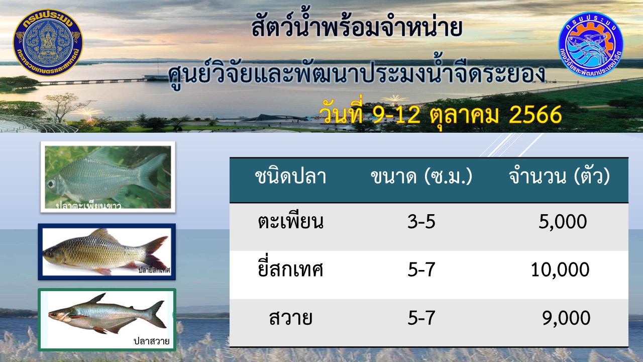 สัตว์น้ำพร้อมจำหน่าย วันที่ 11 ตุลาคม 2566..คลิก