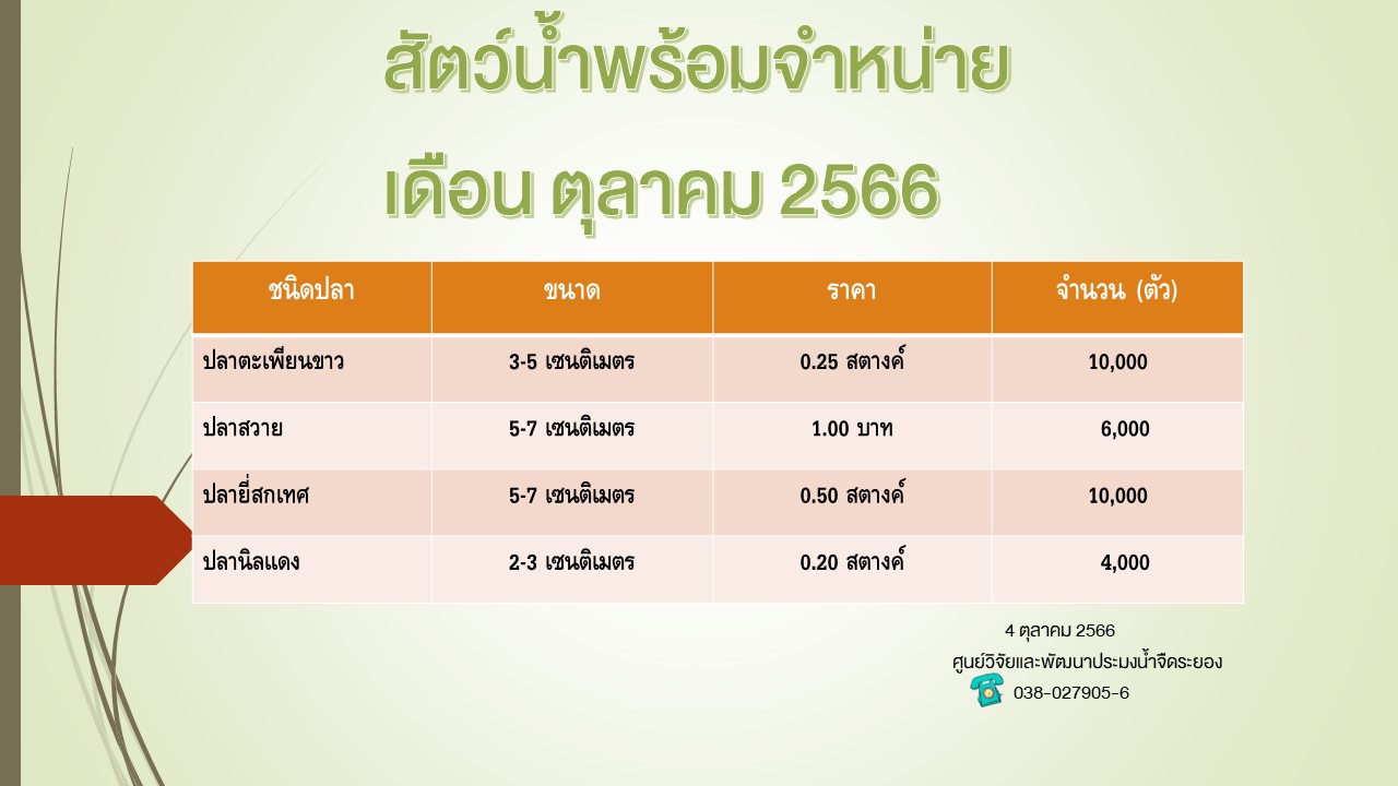 สัตว์น้ำพร้อมจำหน่าย วันที่ 16 ตุลาคม 2566..คลิก