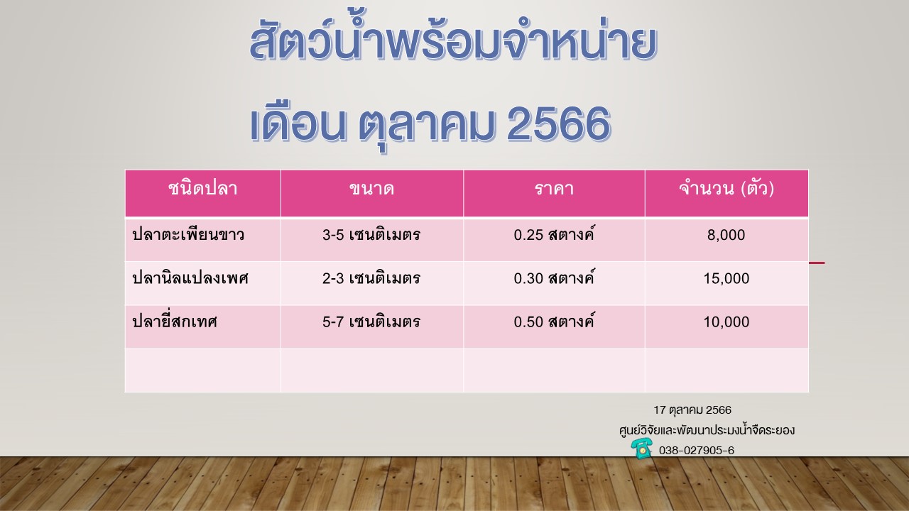 สัตว์น้ำพร้อมจำหน่าย วันที่ 17 ตุลาคม 2566..คลิก