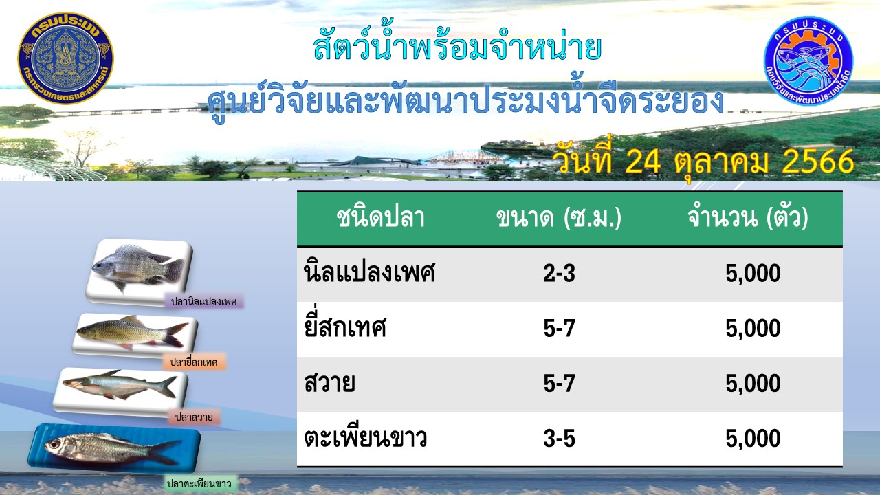 สัตว์น้ำพร้อมจำหน่าย วันที่ 24 ตุลาคม 2566..คลิก