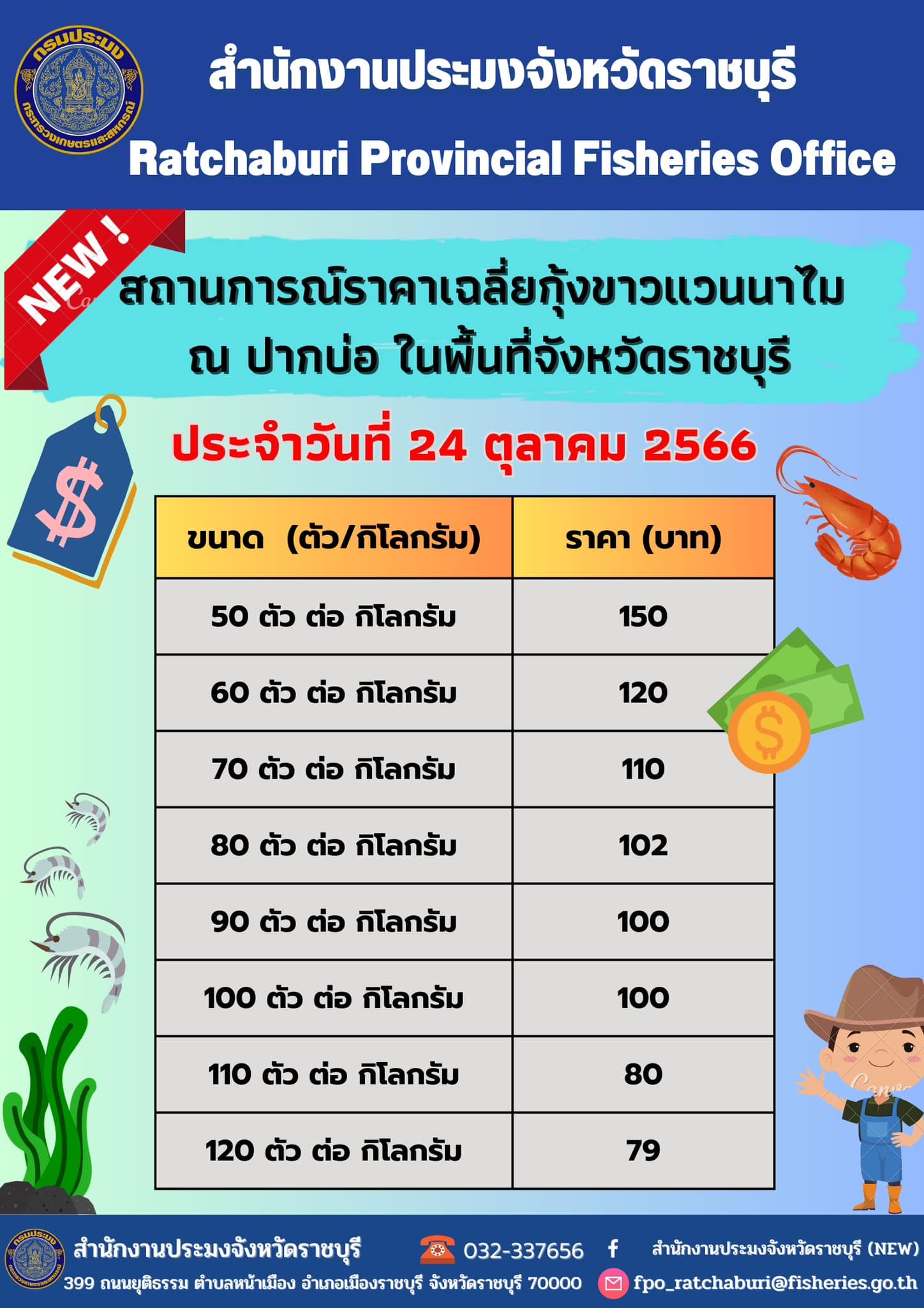 สถานการณ์ราคาเฉลี่ยกุ้งขาวแวนนาไม ณ ปากบ่อ ในพื้นที่จังหวัดราชบุรี ประจำวันที่ 24 ตุลาคม 2566..คลิก