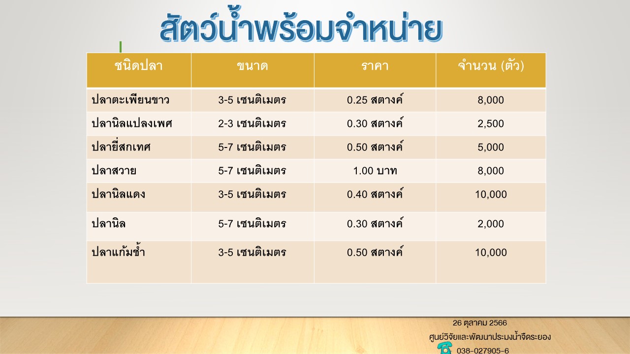 สัตว์น้ำพร้อมจำหน่าย วันที่ 26 ตุลาคม 2566..คลิก