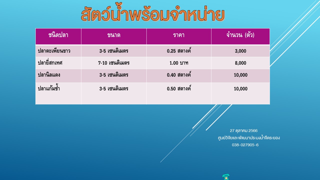 สัตว์น้ำพร้อมจำหน่าย วันที่ 27 ตุลาคม 2566..คลิก