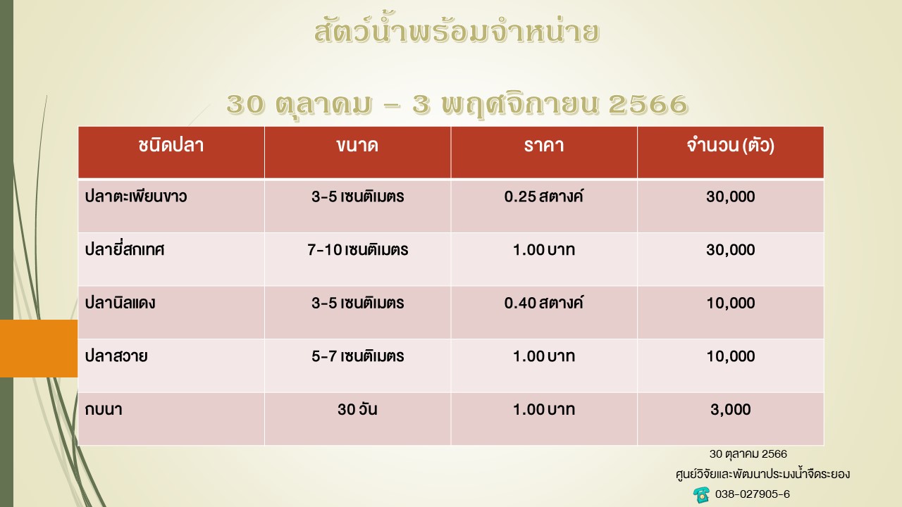 สัตว์น้ำพร้อมจำหน่าย วันที่ 30 ตุลาคม 2566..คลิก