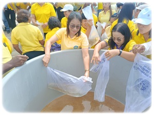 โครงการปล่อยพันธุ์ปลาสู่แหล่งน้ำธรรมชาติ เนื่องในวันปิยมหาราช..คลิก