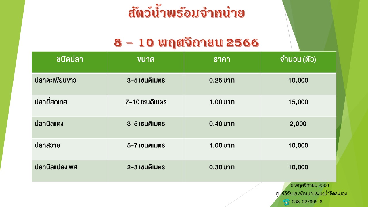 สัตว์น้ำพร้อมจำหน่าย วันที่ 8 พฤศจิกายน 2566..คลิก