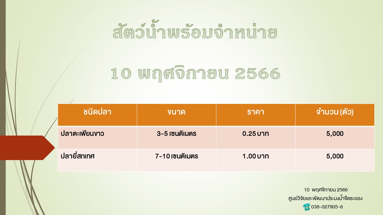 ปลาพร้อมขาย วันที่ 10 พฤศจิกายน 2566..คลิก