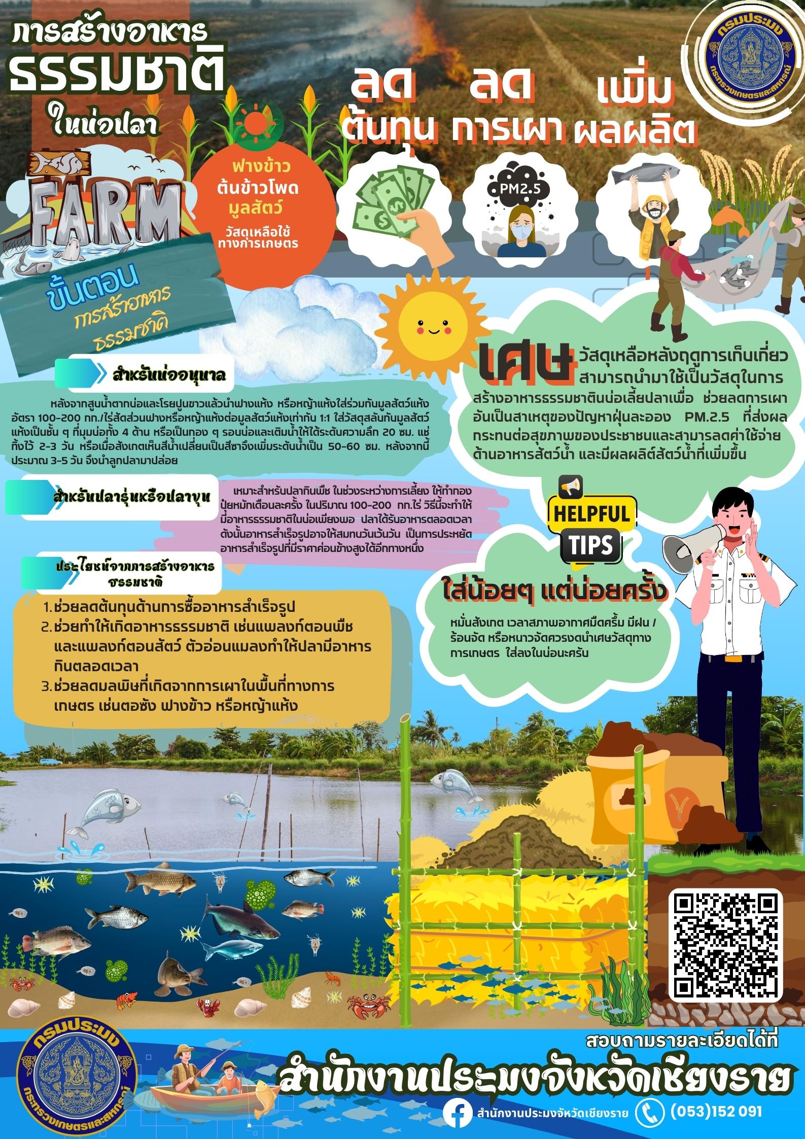 สาระน่ารู้กับประมงเชียงราย การสร้างอาหารธรรมชาติในบ่อปลา..คลิก