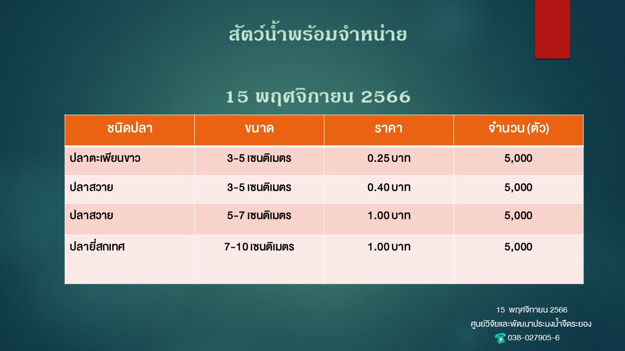 สัตว์น้ำพร้อมจำหน่าย วันที่ 15 พฤศจิกายน 2566..คลิก