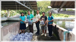 การสนับสนุนพันธุ์ปลาแก่โรงเรียนไทยรัฐวิทยา53 (บ้านคลองขนาน)