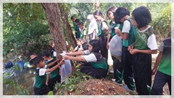 การสนับสนุนพันธุ์ปลาแก่โรงเรียนไทยรัฐวิทยา53 (บ้านคลองขนาน)..คลิก