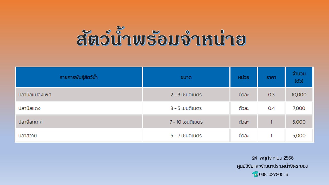 สัตว์น้ำพร้อมจำหน่าย วันที่ 24 พฤศจิกายน 2566..คลิก