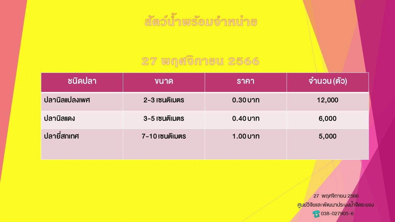 สัตว์น้ำพร้อมจำหน่าย วันที่ 27 พฤศจิกายน 2566..คลิก