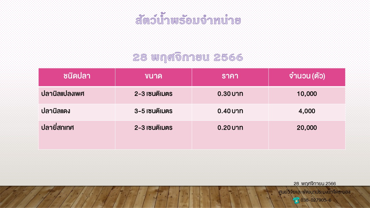 สัตว์น้ำพร้อมจำหน่าย วันที่ 28 พฤศจิกายน 2566..คลิก