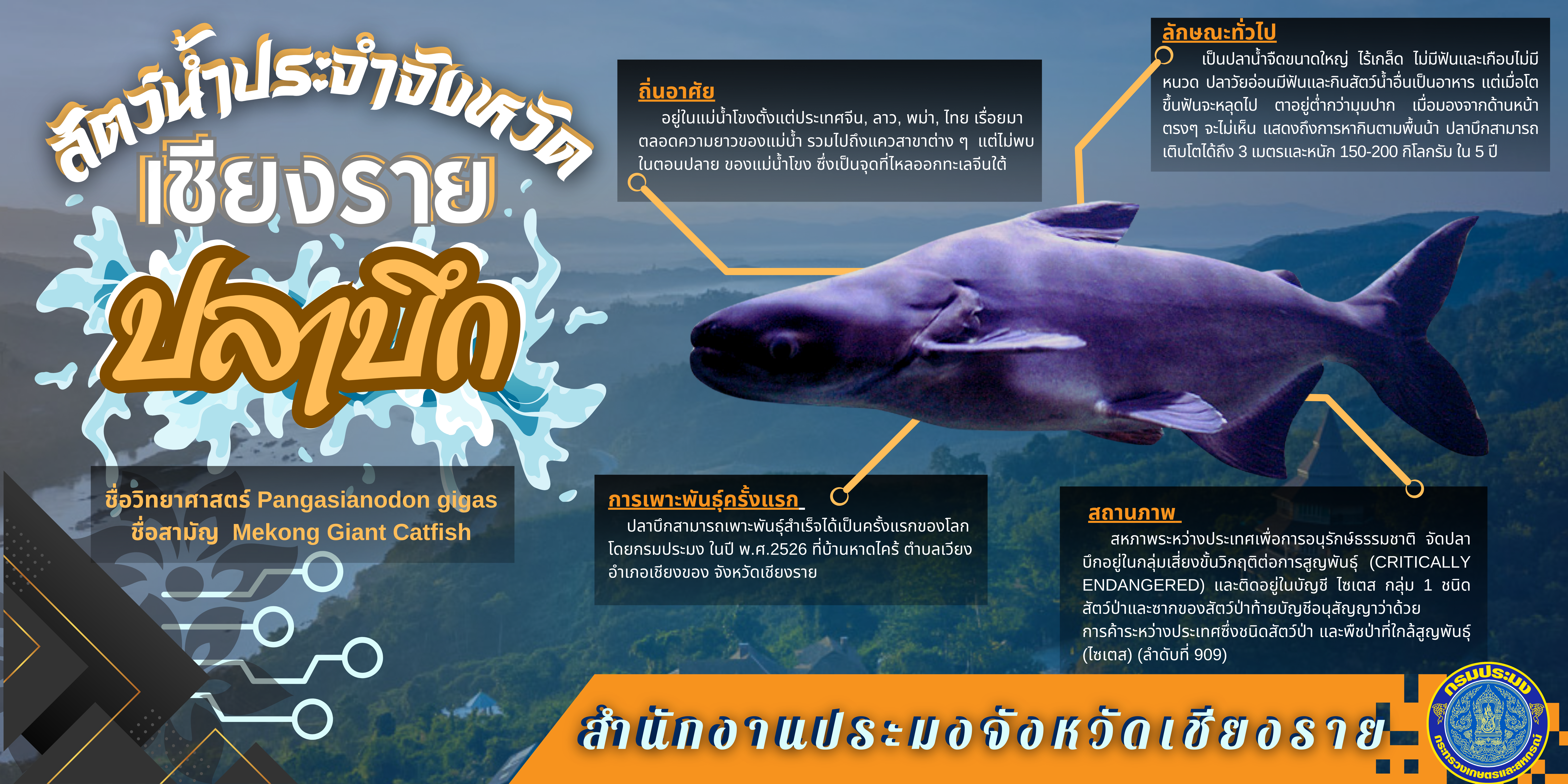 สัตว์น้ำประจำจังหวัดเชียงราย..คลิก