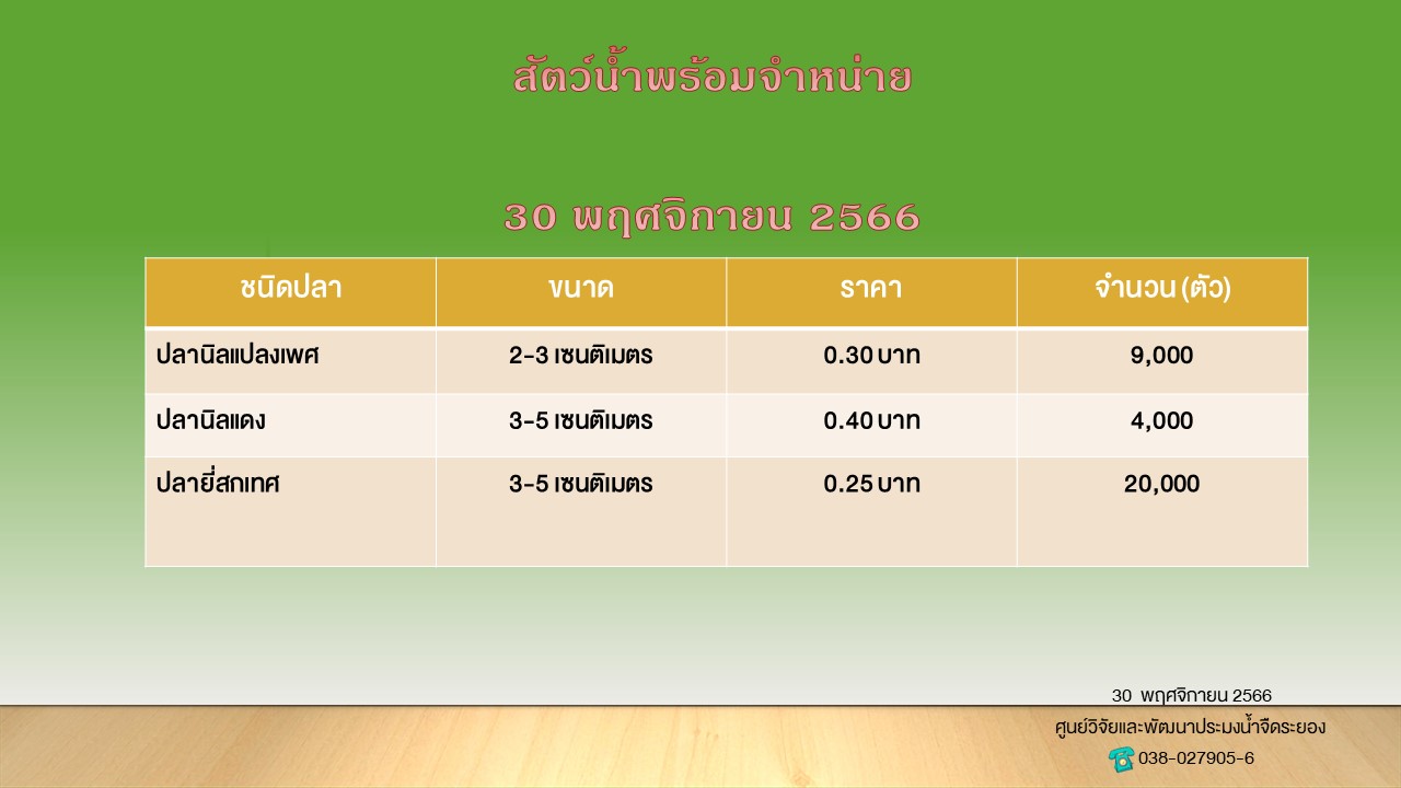 สัตว์น้ำพร้อมจำหน่าย วันที่ 30 พฤศจิกายน 2566..คลิก