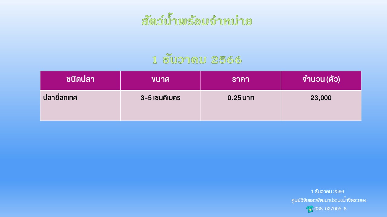 สัตว์น้ำพร้อมจำหน่าย วันที่ 1 ธันวาคม 2566..คลิก