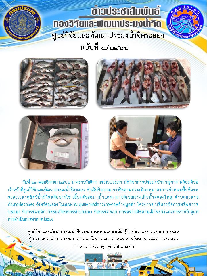 ข่าวประชาสัมพันธ์กิจกรรมฉบับที่ 4/2567..คลิก