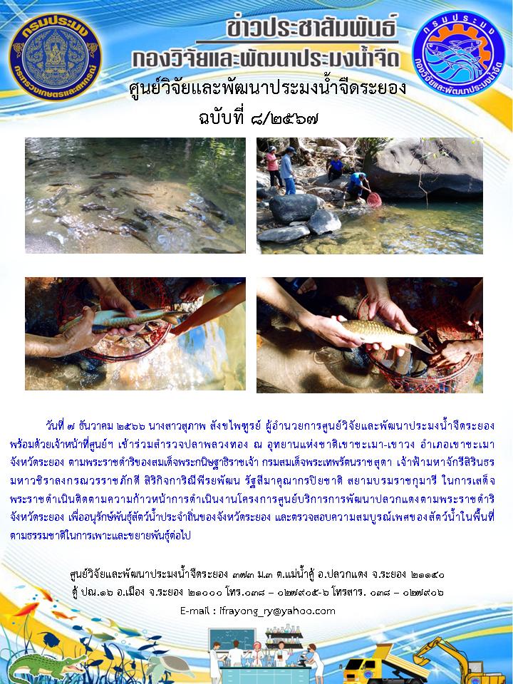 ข่าวประชาสัมพันธ์กิจกรรมฉบับที่ 8/2567..คลิก