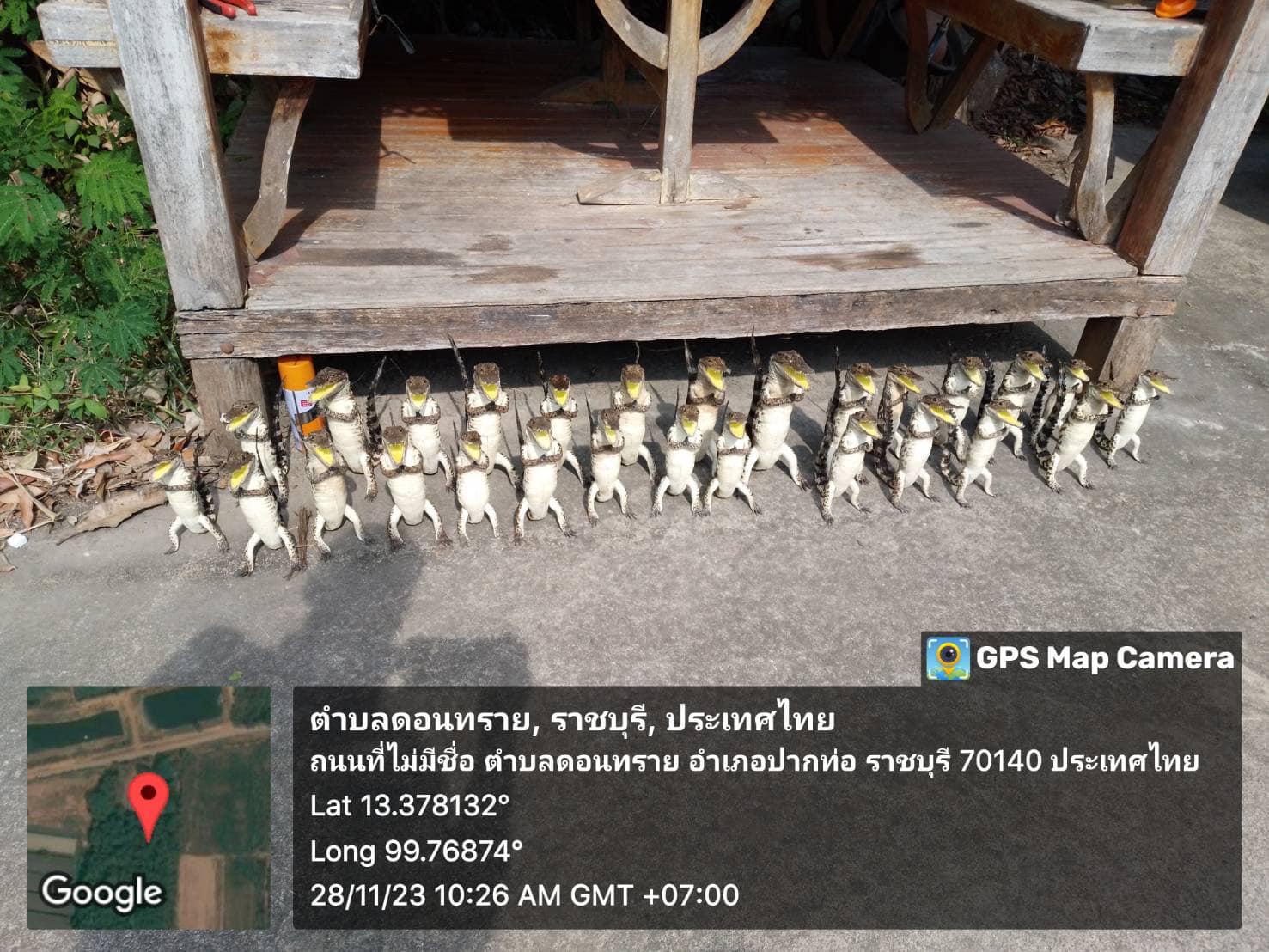 ลงพื้นที่ตรวจเยี่ยมและตรวจสอบสถานประกอบกิจการการเพาะเลี้ยง และครอบครองสัตว์ป่าสงวนและคุ้มครอง ประเภท จระเข้ อยู่ในพื้นที่ตำบลทุ่งหลวง และ ตำบลหนองกระทุ่ม อำเภอปากท่อ..คลิก