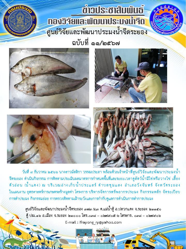 ข่าวประชาสัมพันธ์กิจกรรม ฉบับที่ 11/2567..คลิก