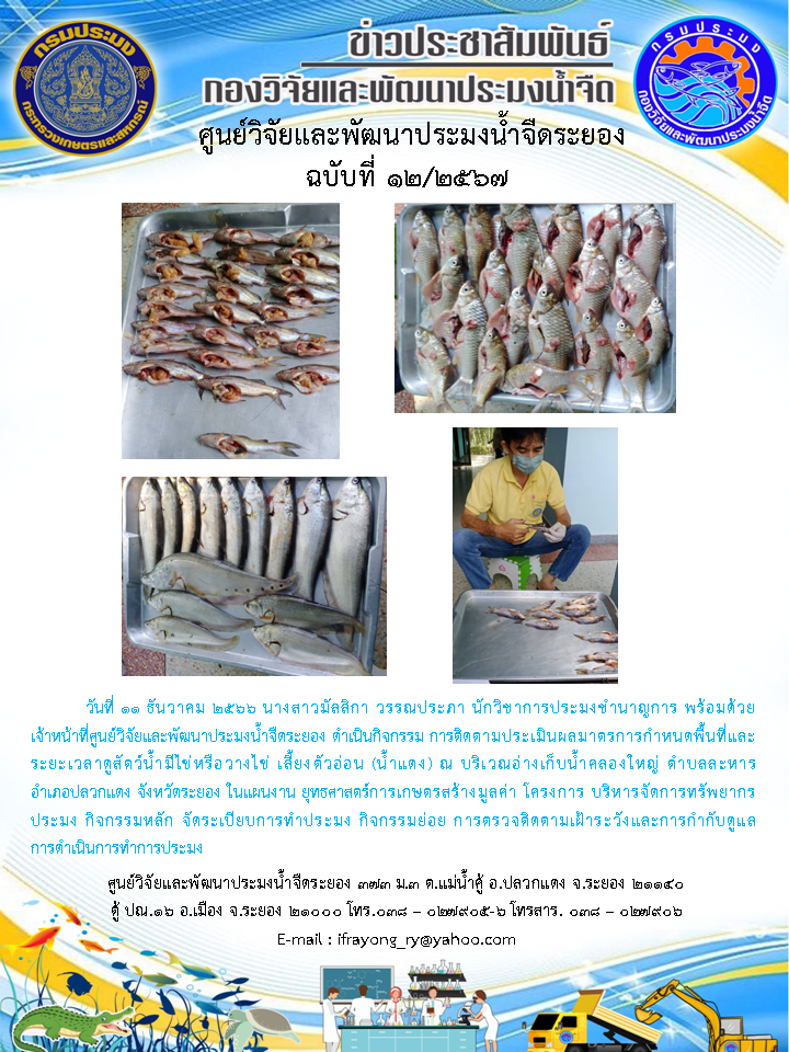 ข่าวประชาสัมพันธ์กิจกรรม ฉบับที่ 12/2567..คลิก