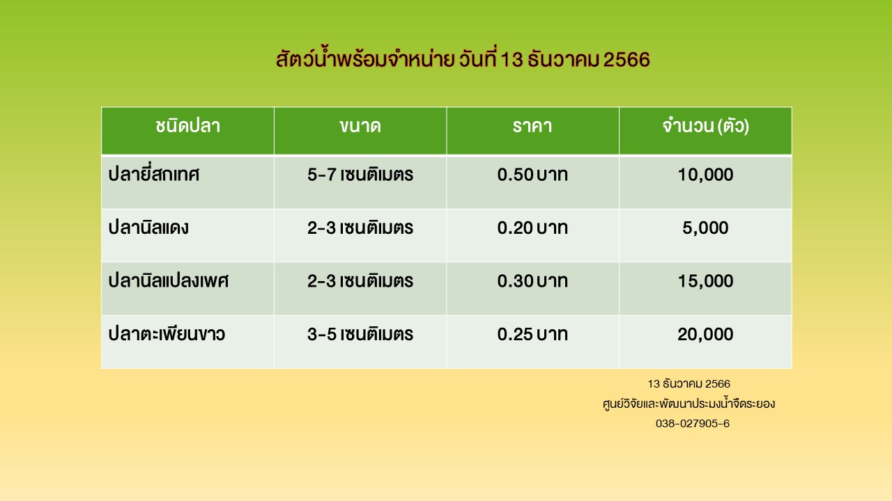 สัตว์น้ำพร้อมจำหน่าย วันที่ 13 ธันวาคม 2566..คลิก